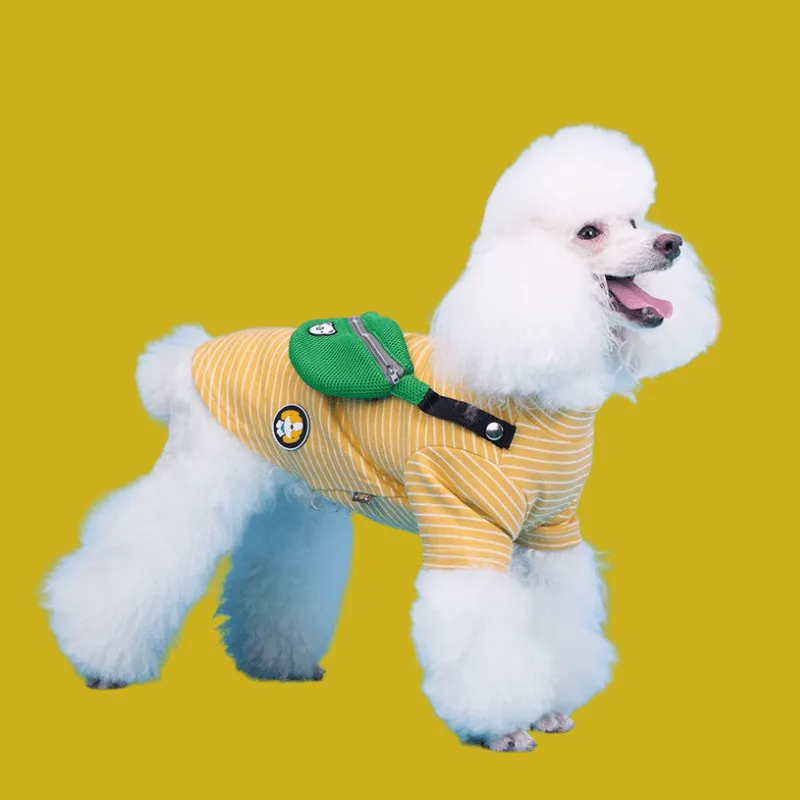 Anniepaw Friends—Park Slope Comfortable Elastic Sweater: Flexible Sizing with Bag for All-Day Wear