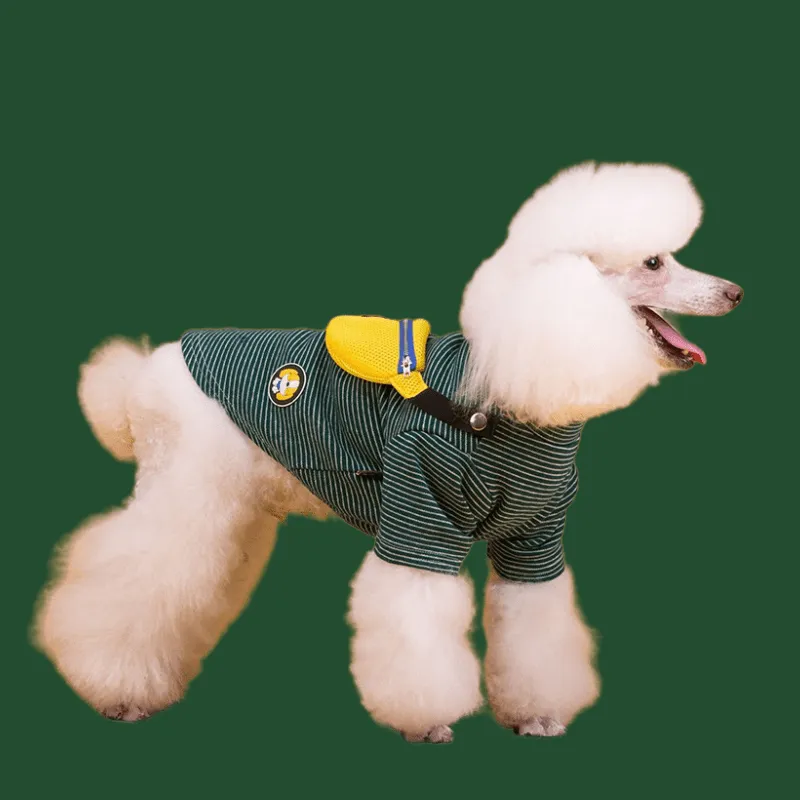 Anniepaw Friends—Park Slope Comfortable Elastic Sweater: Flexible Sizing with Bag for All-Day Wear