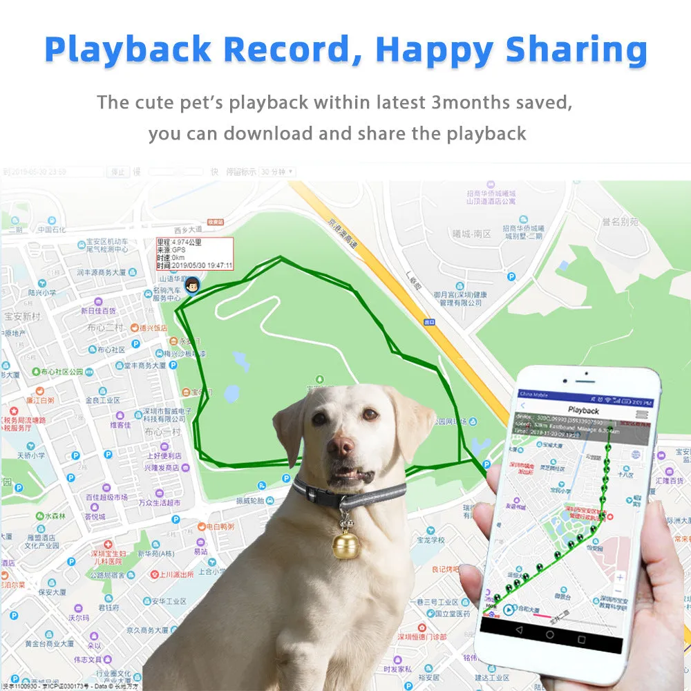 Anti-loss device pet bell GPS tracker Petfon N5