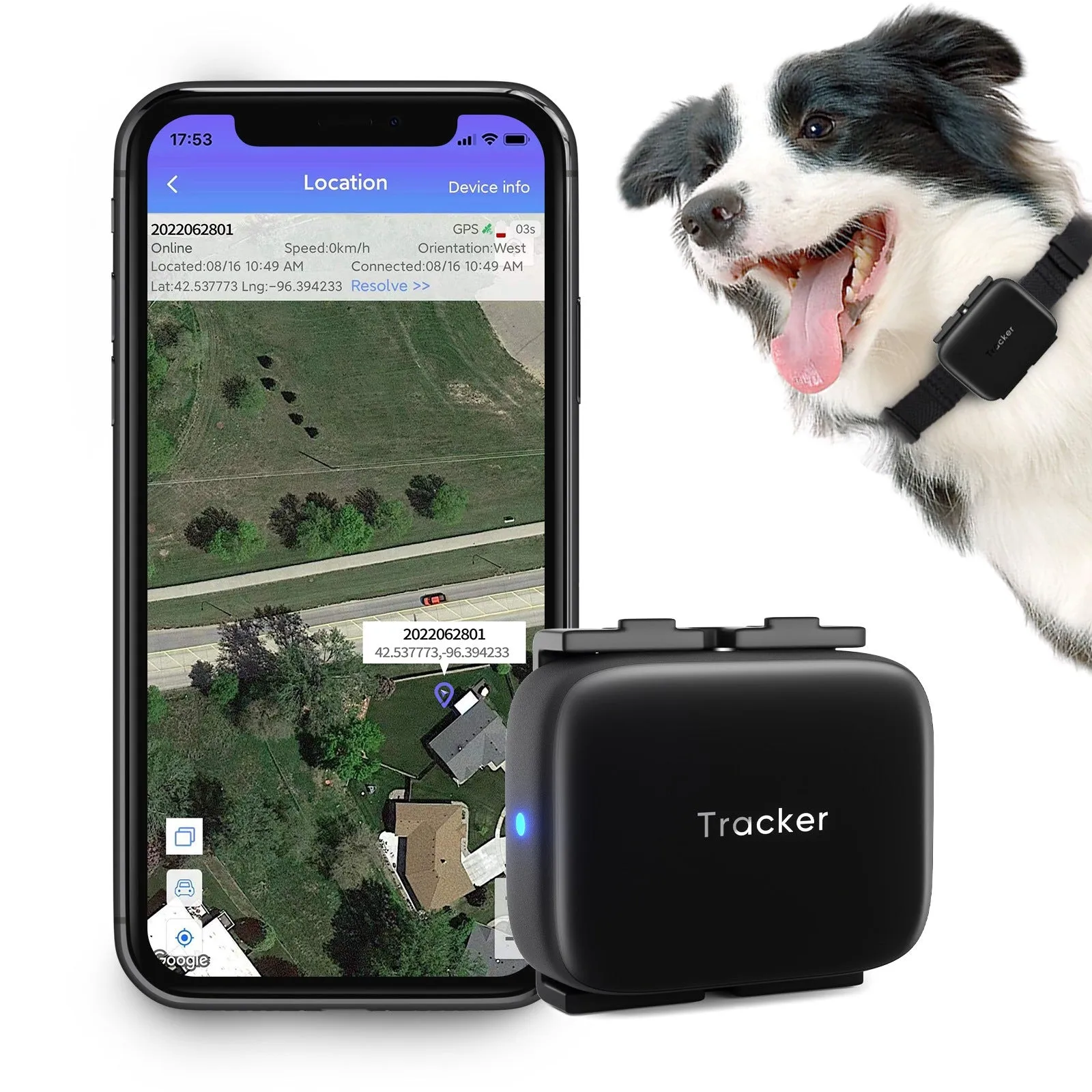 Anti-loss device pet kid older item GPS tracker Petfon N10