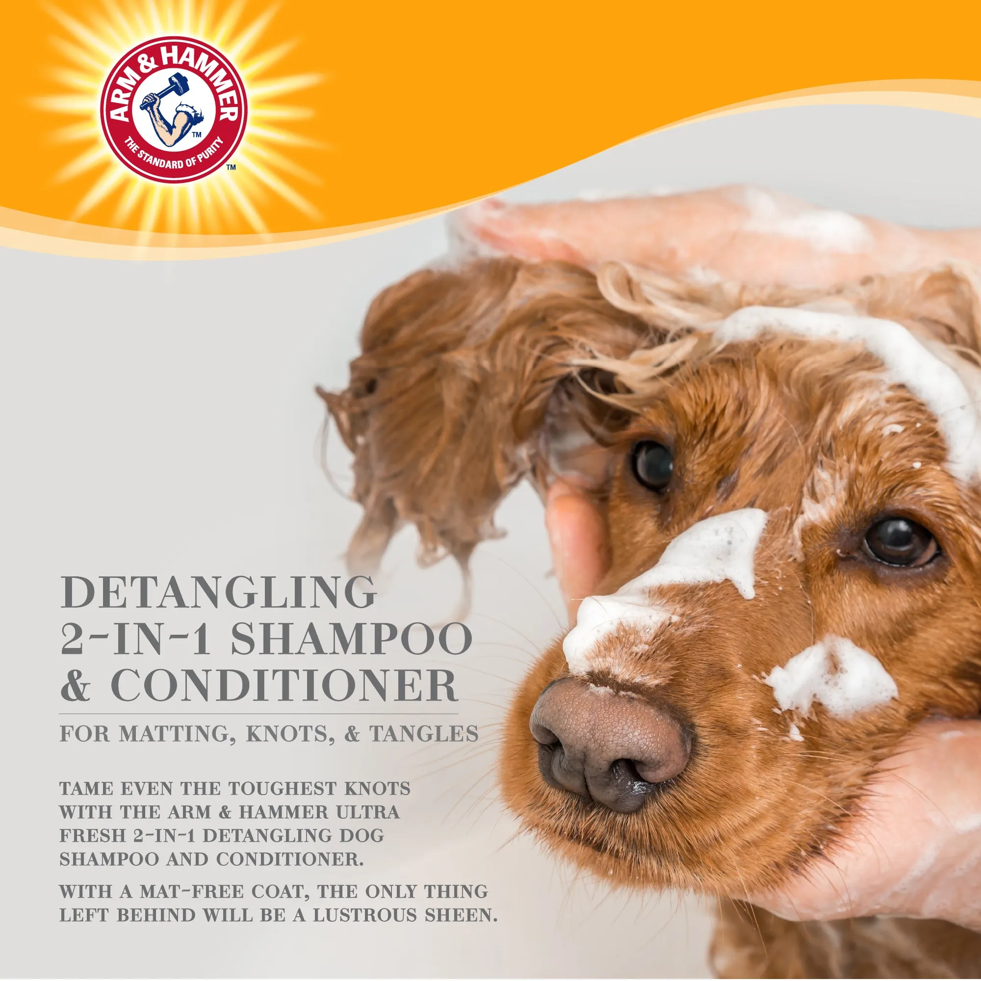 Arm and Hammer Ultra Fresh 2-in-1 Detangling Shampoo & Conditioner with Coconut Oil & Silk Protein