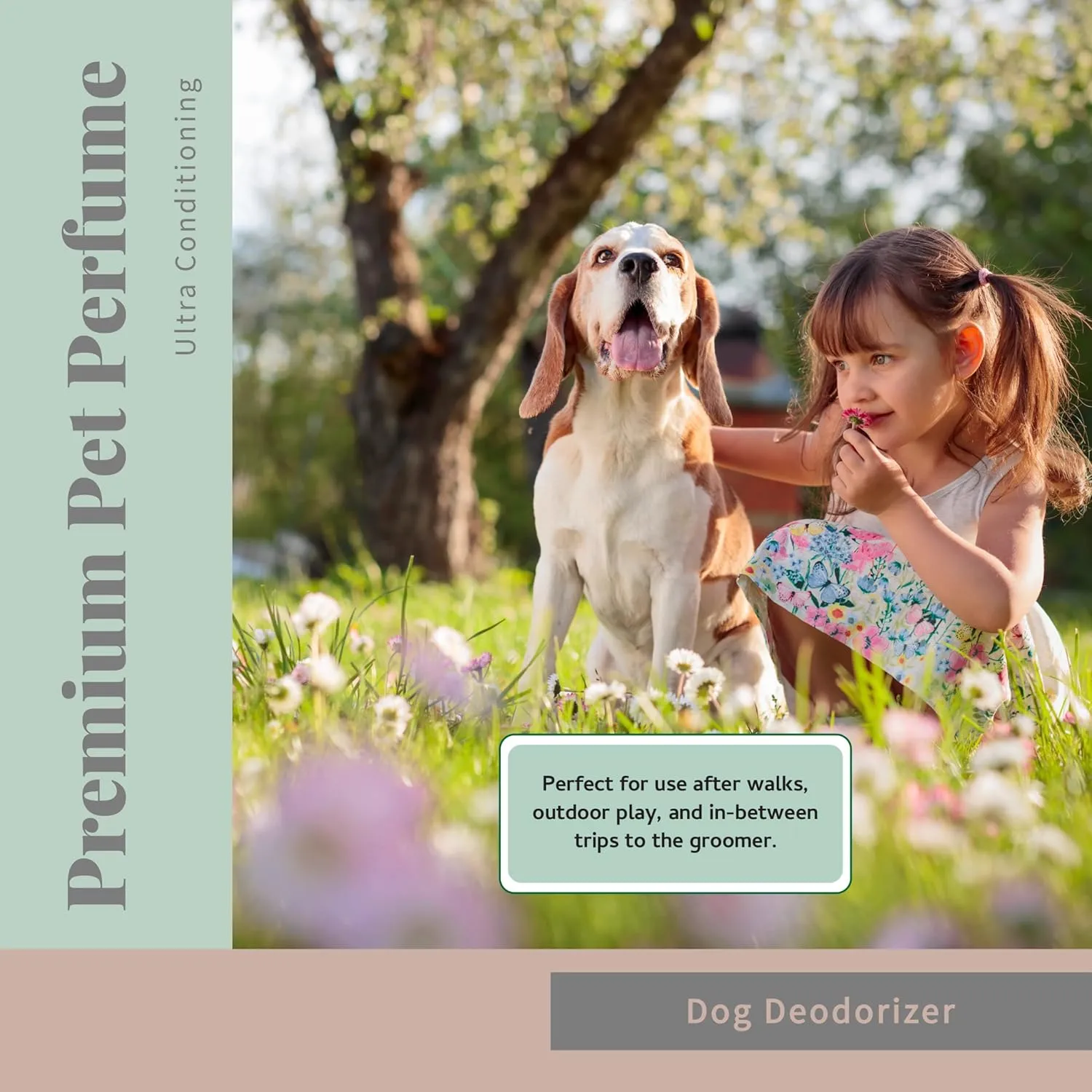 Begley's Pet Cologne and Deodorizer - Premium Essential Oil Dog Perfume Spray Long Lasting and Pet Odor Eliminator - Cat Perfume and Dog Cologne Spray - Lavender - 4 oz