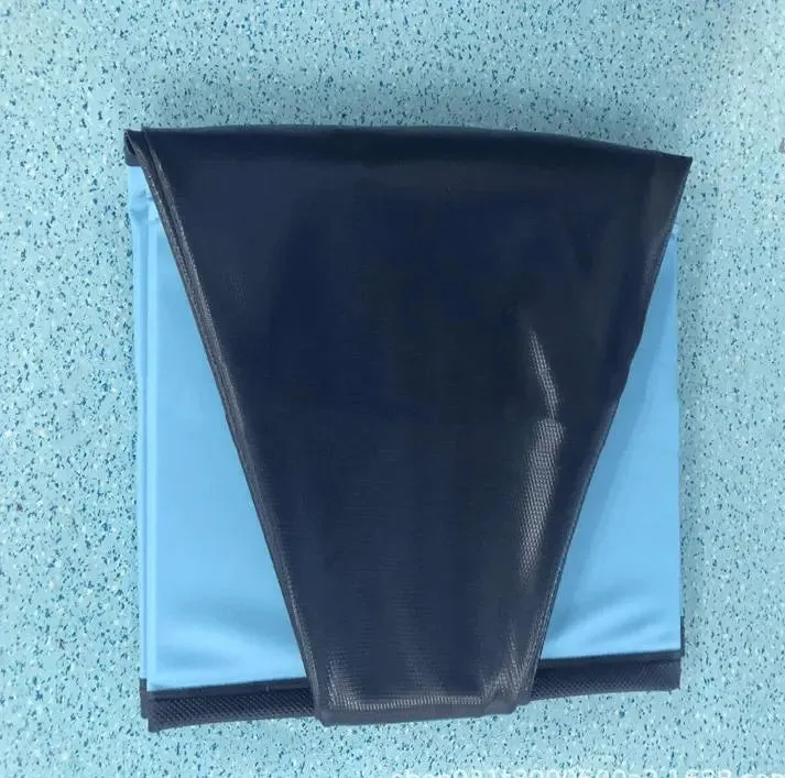 Best Dog Pool Pets Swimming Pool