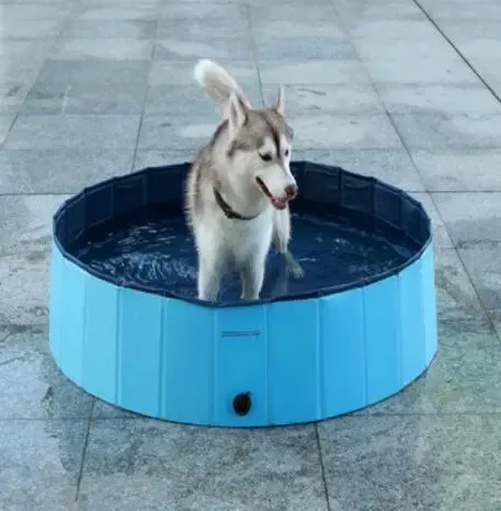 Best Dog Pool Pets Swimming Pool