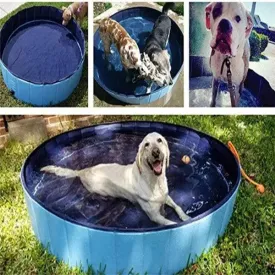 Best Dog Pool Pets Swimming Pool