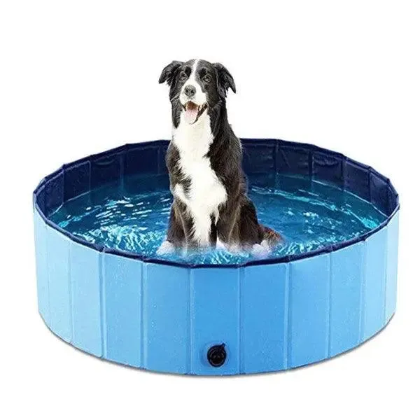 Best Dog Pool Pets Swimming Pool