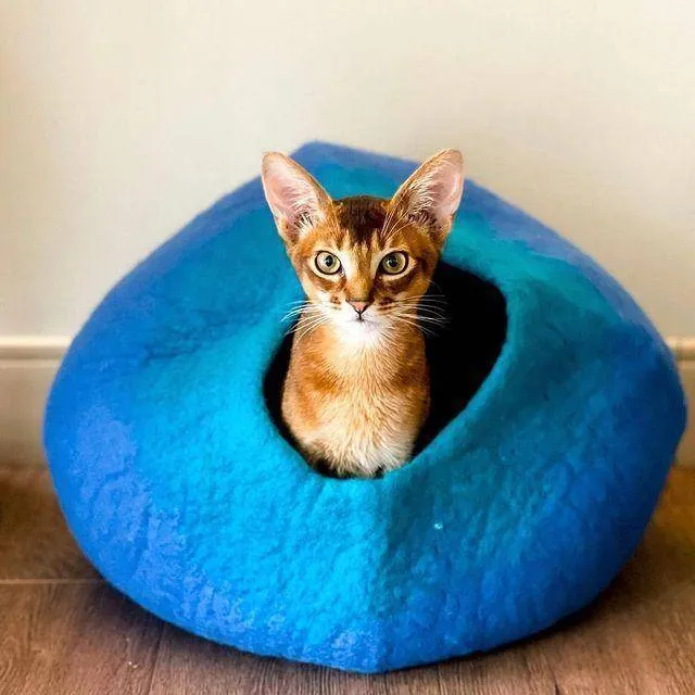 Blue & Turquoise Cat Cave