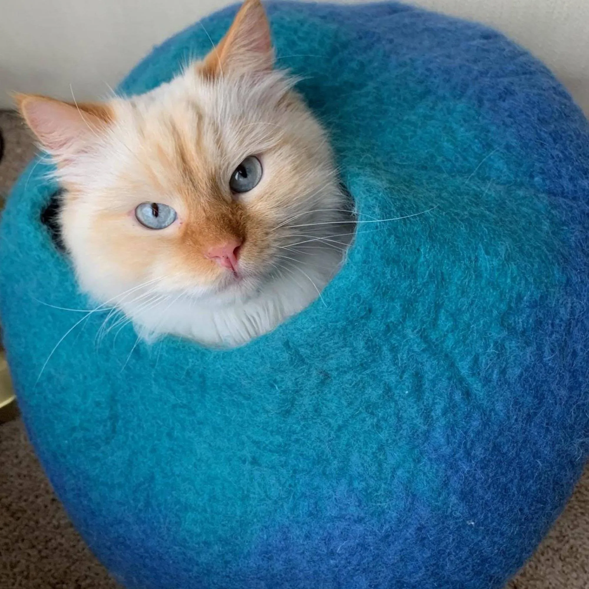 Blue & Turquoise Cat Cave