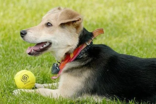 Briton Pressure Less Tennis Balls with Carrying Bag (Pack of 12)