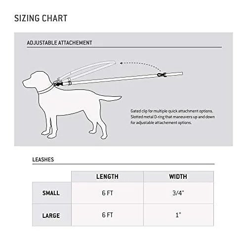 Carhartt P00002 Pet Durable Nylon Webbing Leashes for Dogs, Reflective Stitching for Visibility