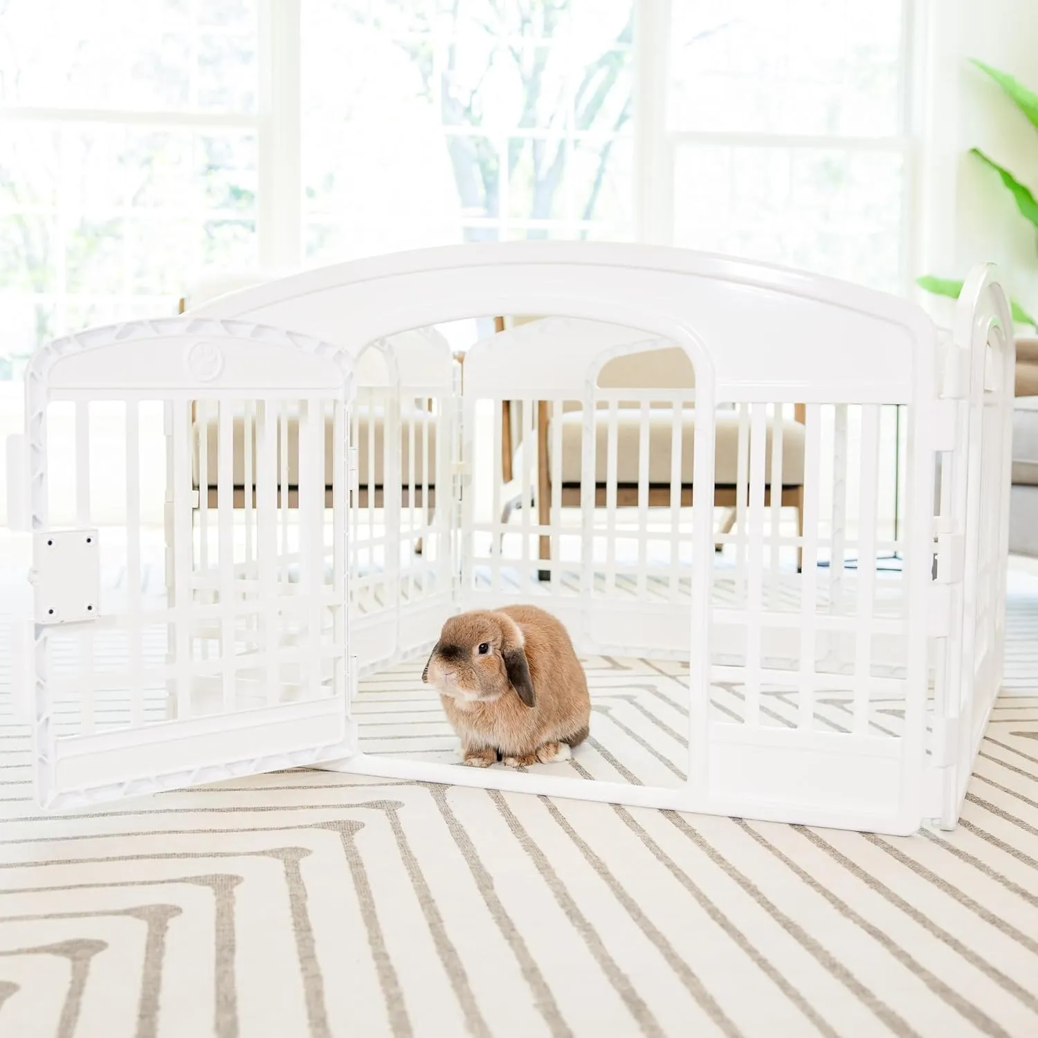 Carlson 4-Panel Plastic Pet Pen  Portable, Secure, and Easy-to-Use Playpen for Small Pets | 24" Tall, White, Includes Door and Lock, Ideal for Small Pets, Whelping and Indoor/Outdoor Use