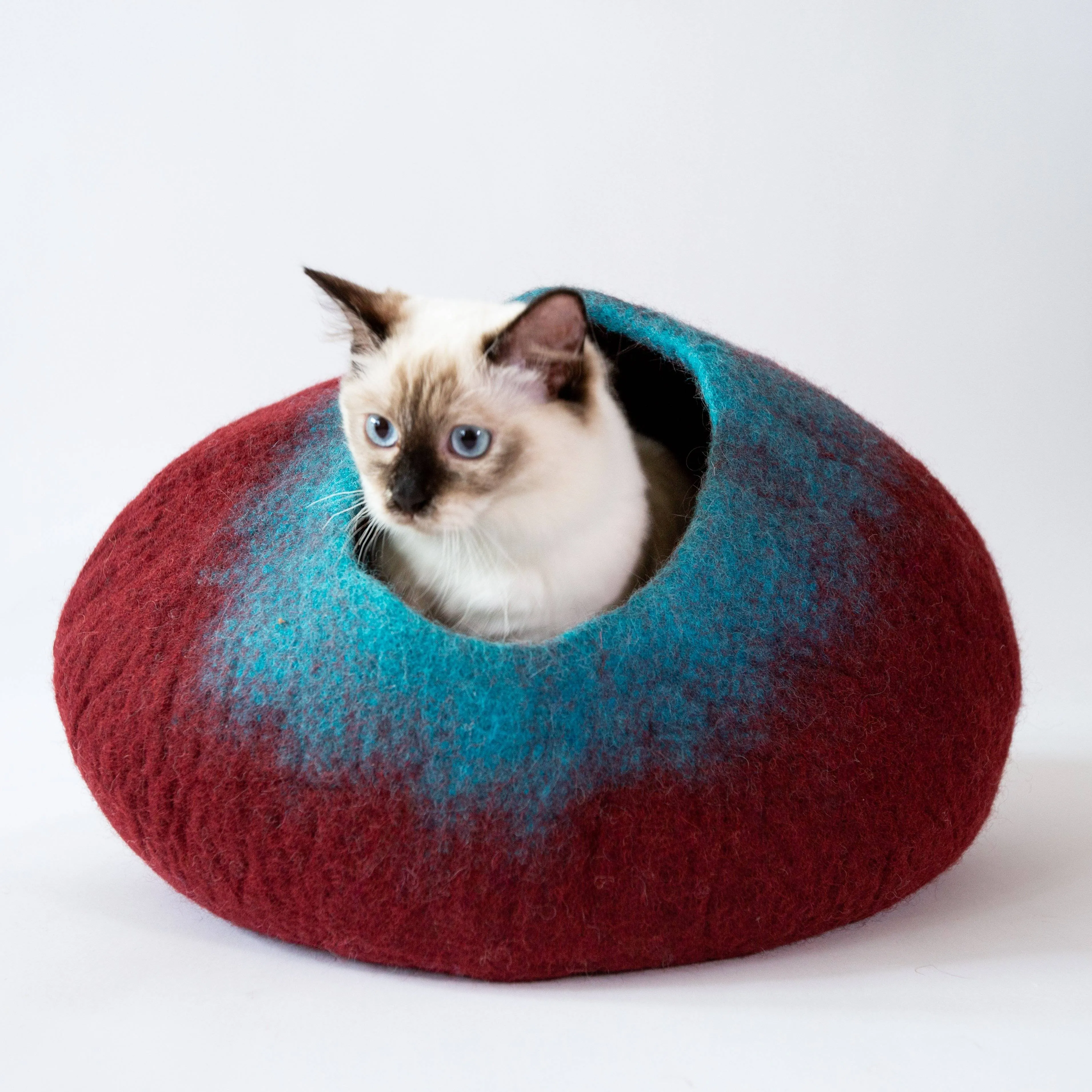 Cat Cave