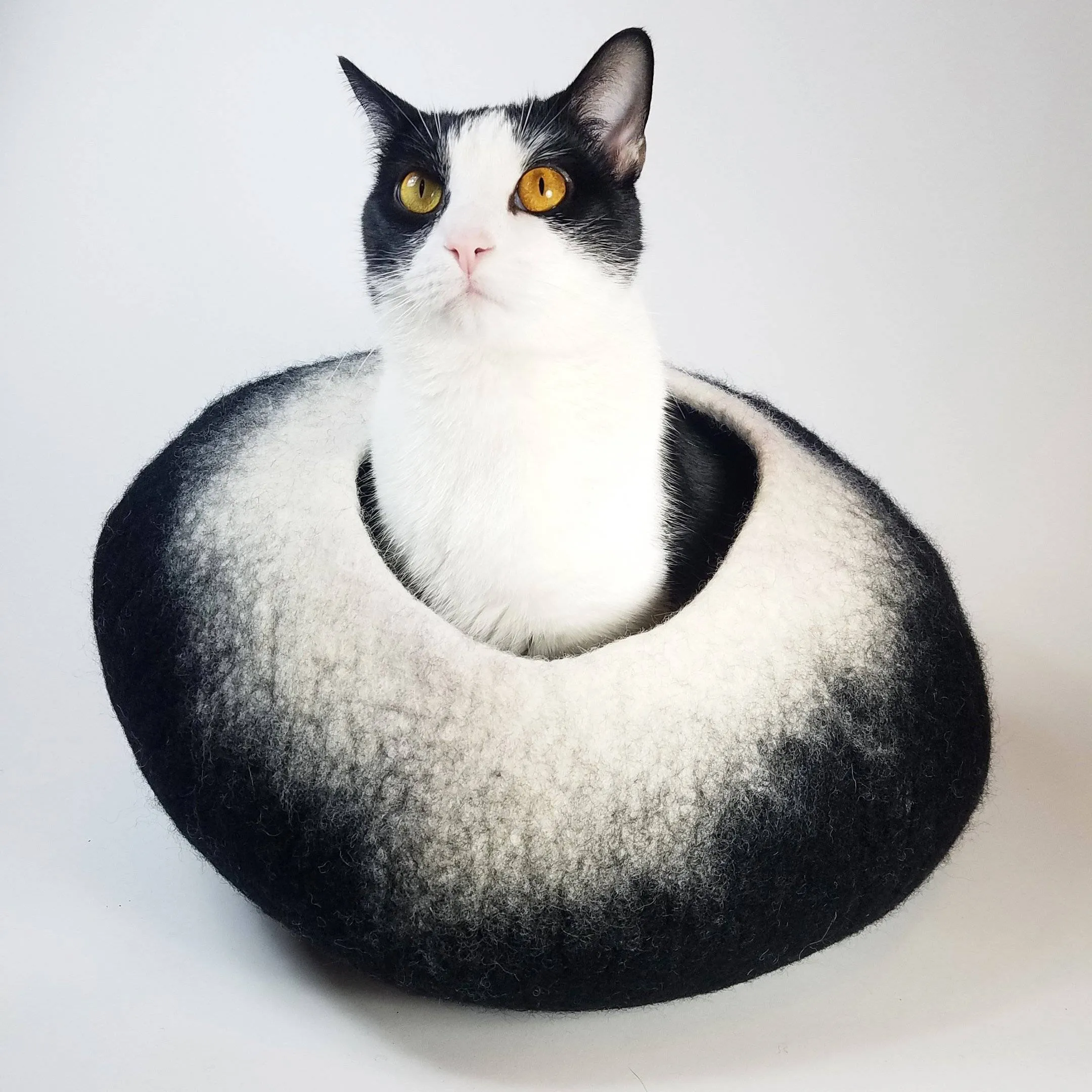 Cat Cave