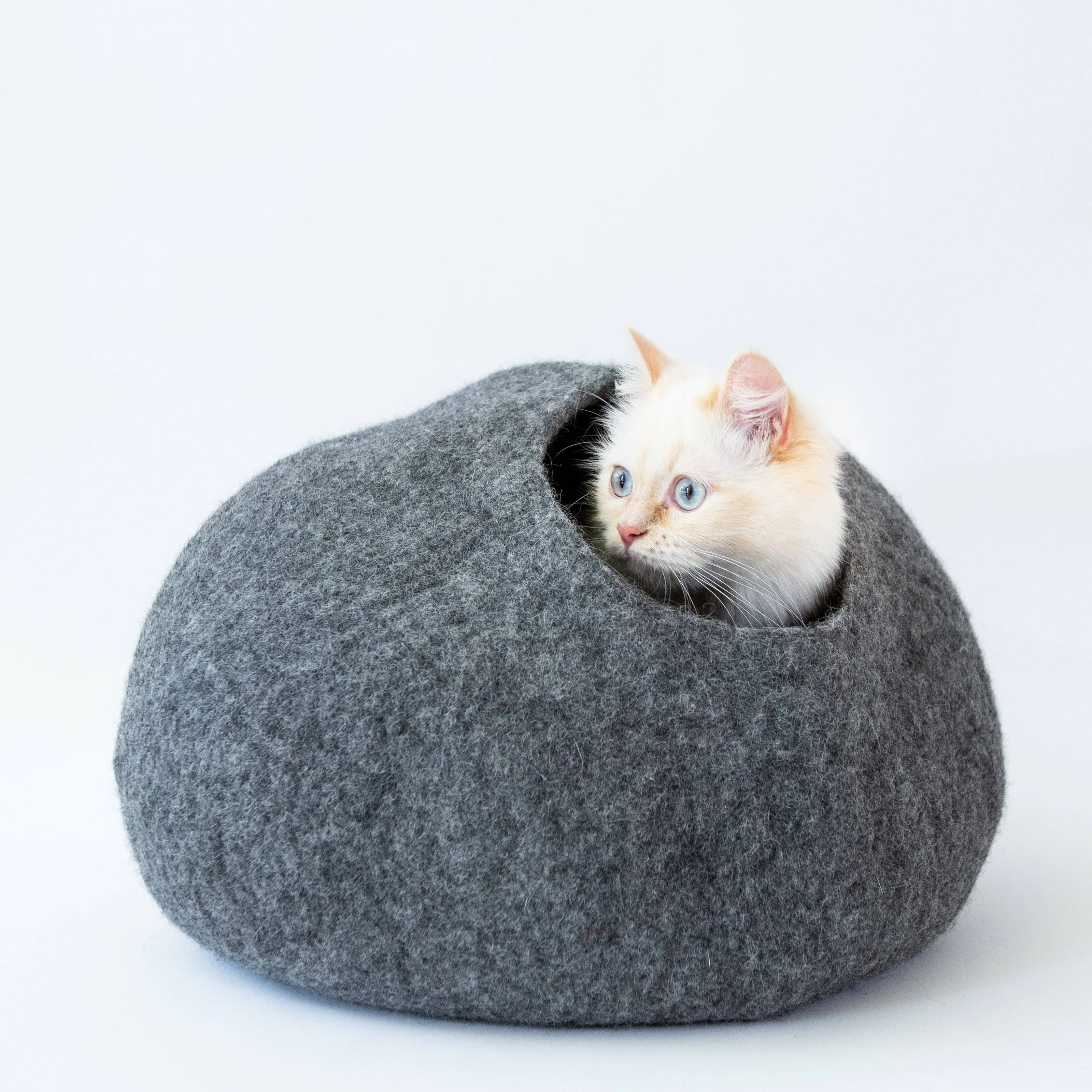Cat Cave