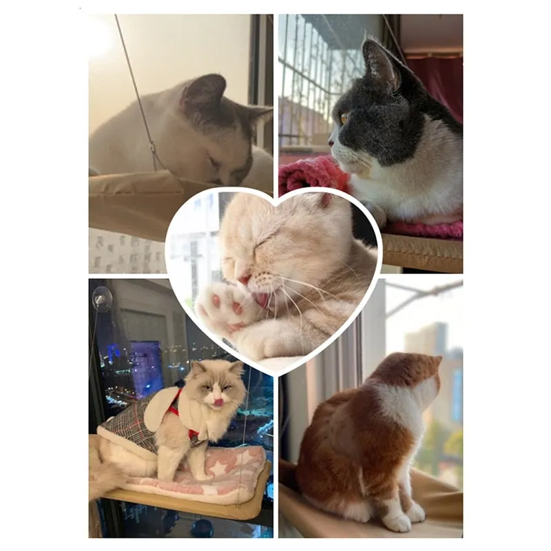 Cat Hanging Beds Pet Hammock Bed for Cats Comfortable Cat Window