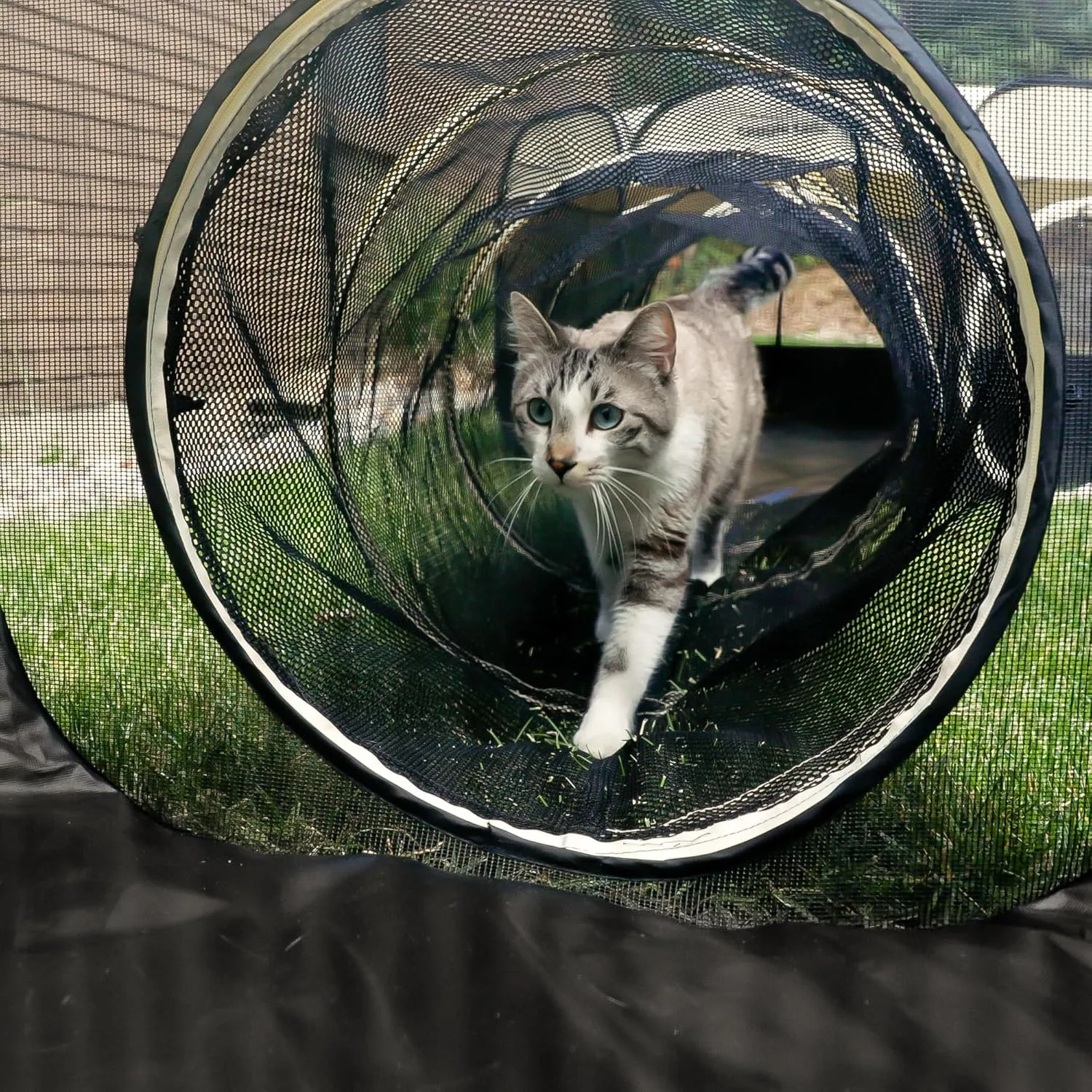 Cat Tents & Tunnels - Large Indoor-Outdoor Cat Playpen Enclosure for Indoor Cats, Dogs, Kittens, Puppies, Ferrets, Bunnies & Small Animals - Enclosed Cat Run Tunnels, Catio, Condo