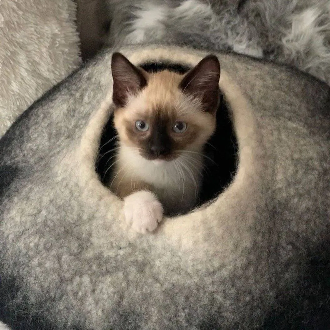Charcoal & White Cat Cave