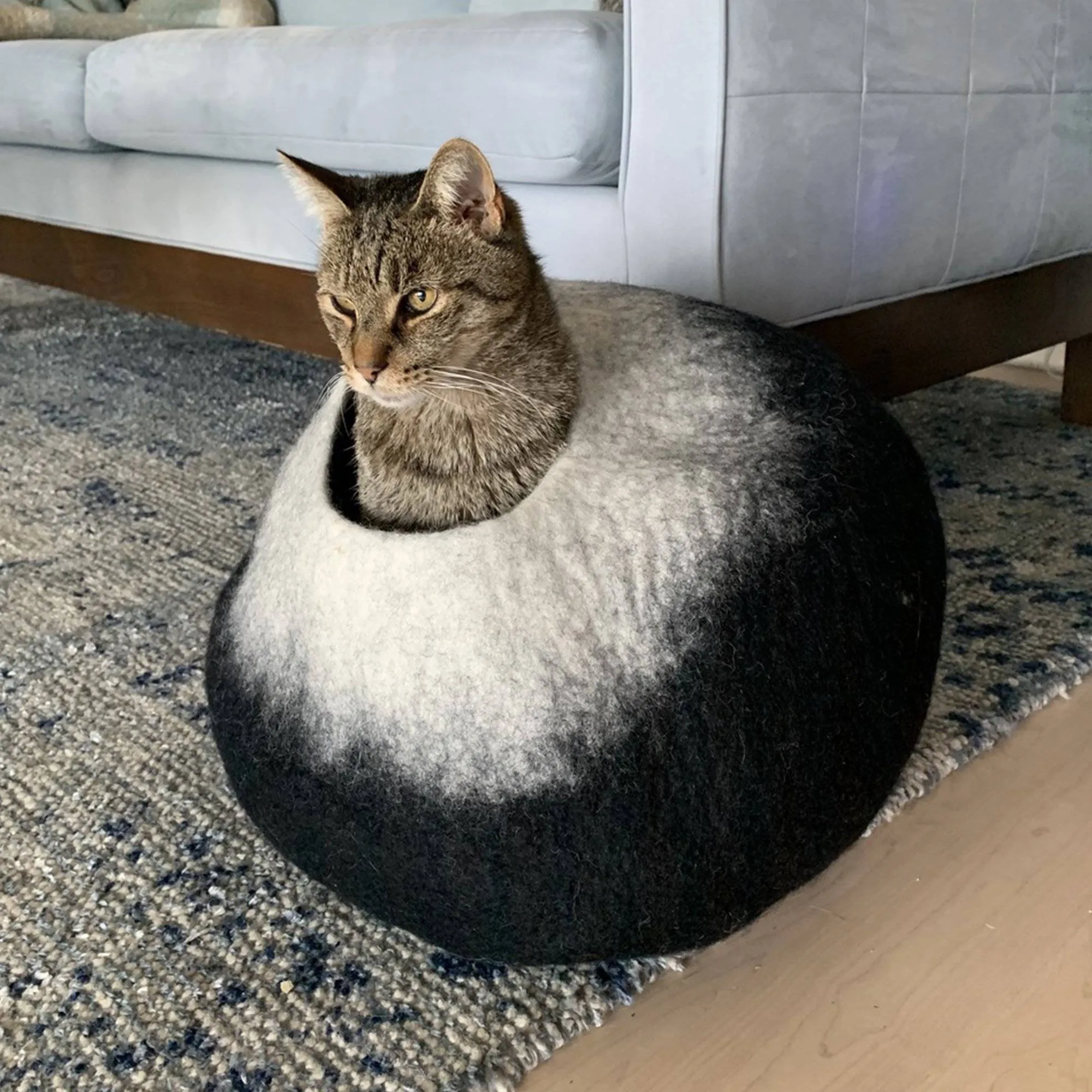 Charcoal & White Cat Cave