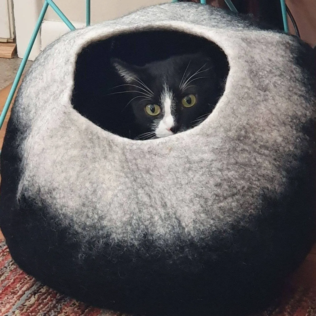 Charcoal & White Cat Cave