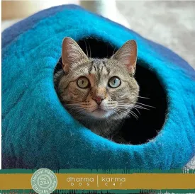 Distinctly Himalayan Cat Cave Ombre Navy & Turqoise