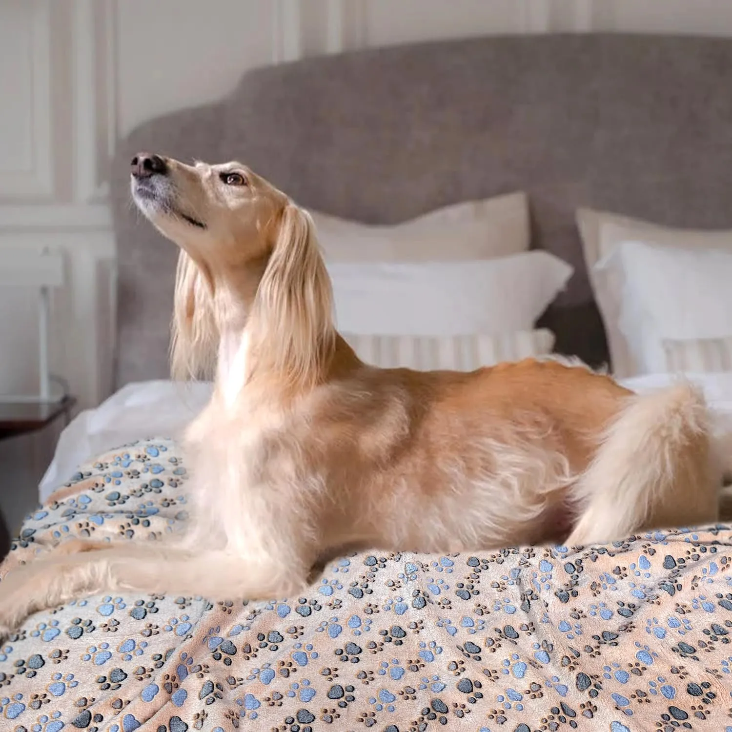Dog Blankets for Large Dogs, 1 Pc Dog Blanket Washable, Soft Fluffy Flannel Pet Blanket Mat Cover for Bed Couch, Cute Print Puppy Blanket 60" x 50"
