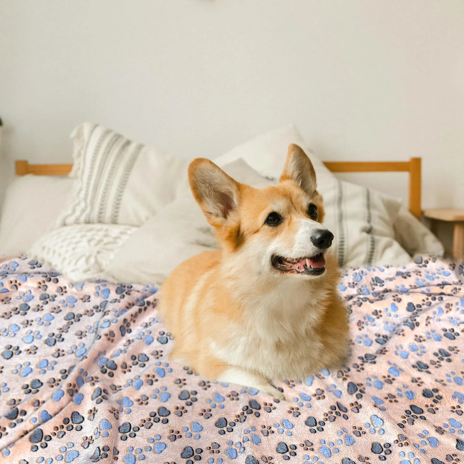 Dog Blankets for Large Dogs, 1 Pc Dog Blanket Washable, Soft Fluffy Flannel Pet Blanket Mat Cover for Bed Couch, Cute Print Puppy Blanket 60" x 50"