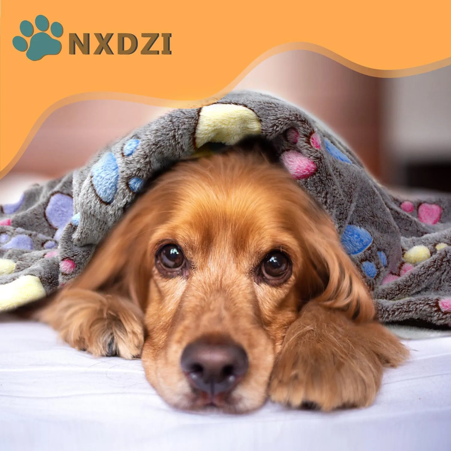 Dog Blankets Washable, 3 Pack Dog Blanket Washable 30" x 20", Fuzzy Soft Pet Mat Throw Cover for Kennel Crate Bed, Blankets for Dogs, Pet Blanket