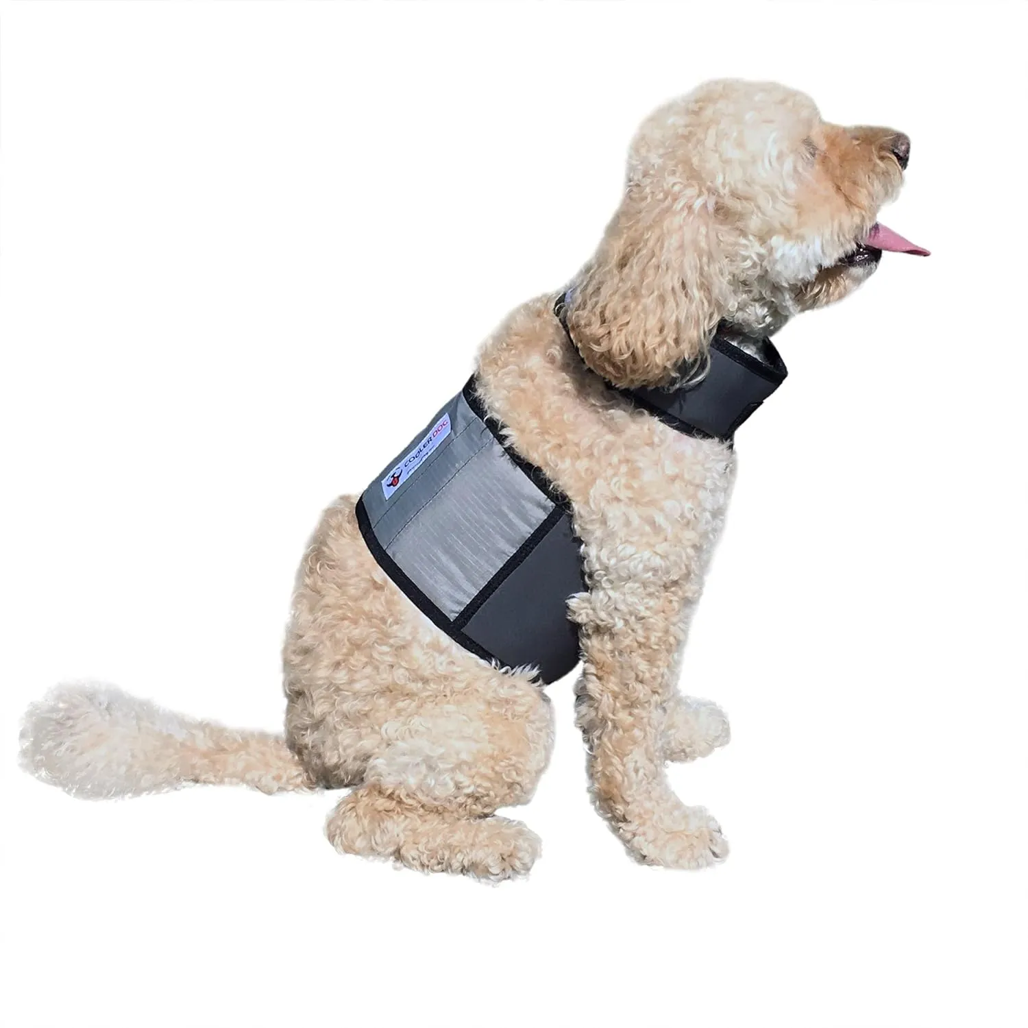 Dog Cooling Vest and Cooling Collar - Ice Vest for Dogs Small (18" to 22" Girth)