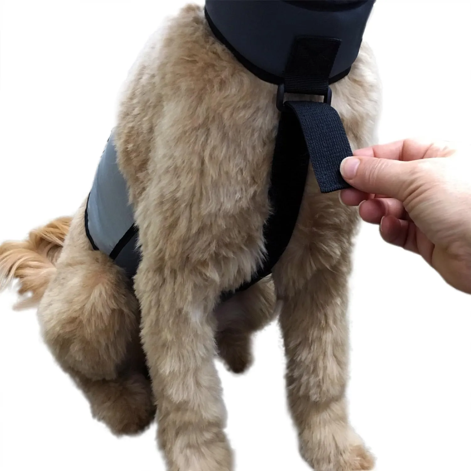 Dog Cooling Vest and Cooling Collar - Ice Vest for Dogs Small (18" to 22" Girth)