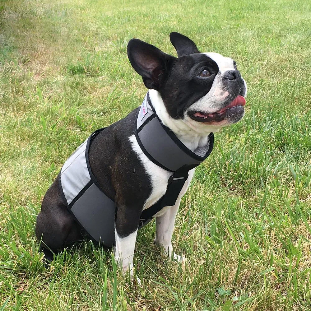 Dog Cooling Vest and Cooling Collar - Ice Vest for Dogs Small (18" to 22" Girth)