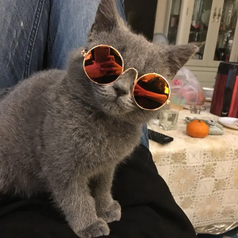 Dog Sunglasses w/ Strap