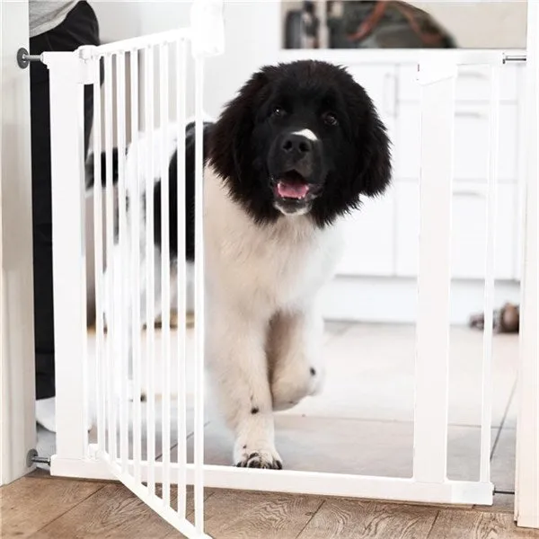 DogSpace Lassie Pet metal safety gate White