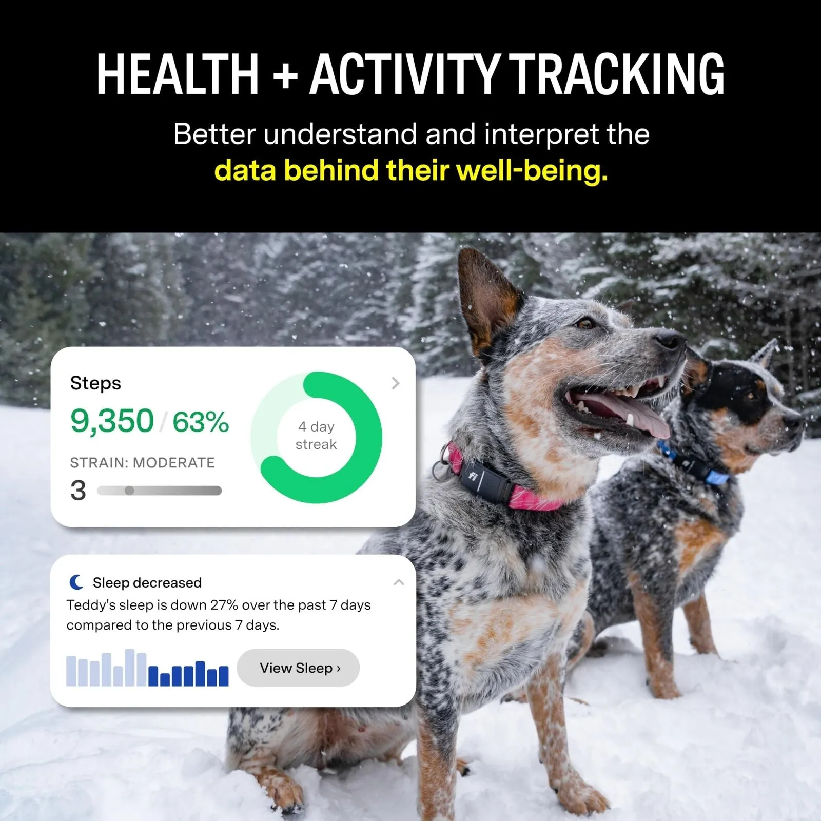 Fi Series 3 Smart Dog Collar - GPS Dog Tracker and Activity & Fitness Monitor...