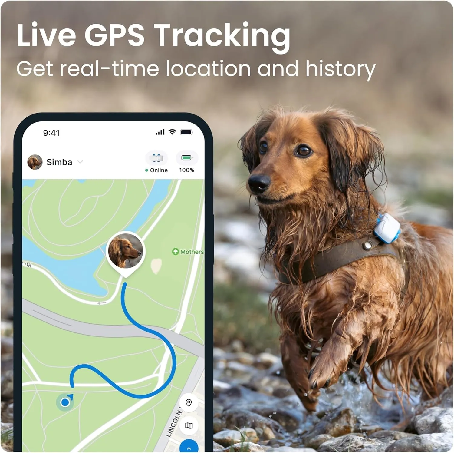GPS Tracker & Health Monitoring for Dogs