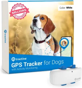 GPS Tracker & Health Monitoring for Dogs