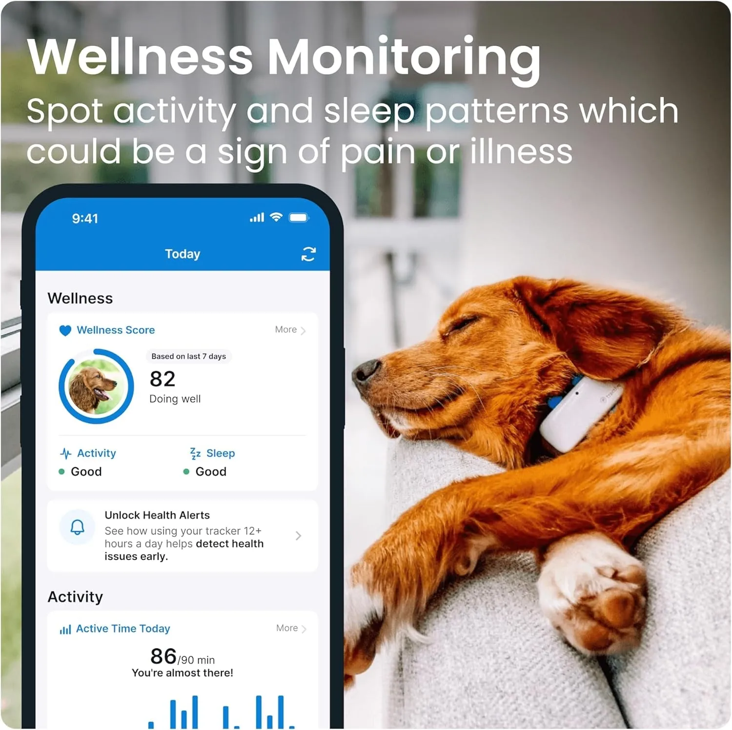 GPS Tracker & Health Monitoring for Dogs
