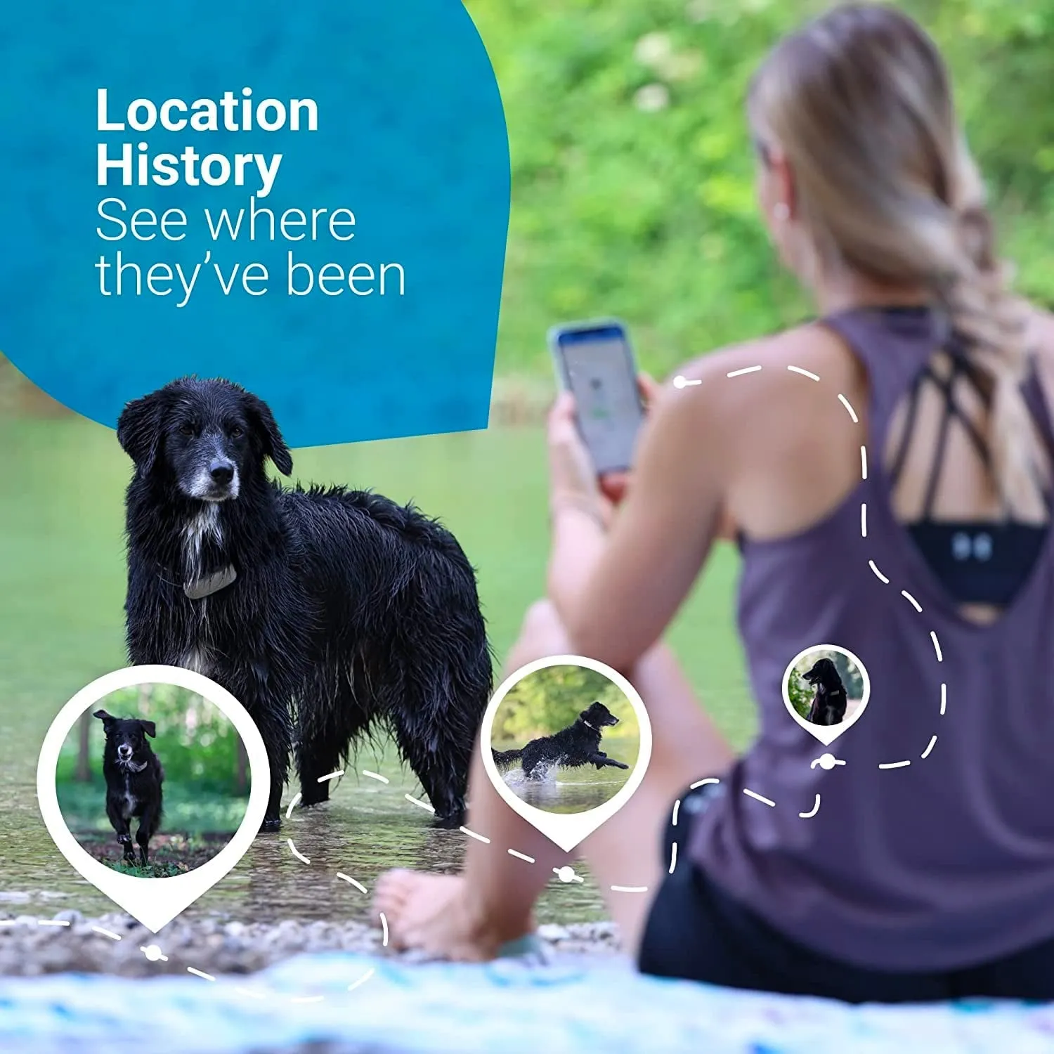 GPS Tracker & Health Monitoring for Dogs