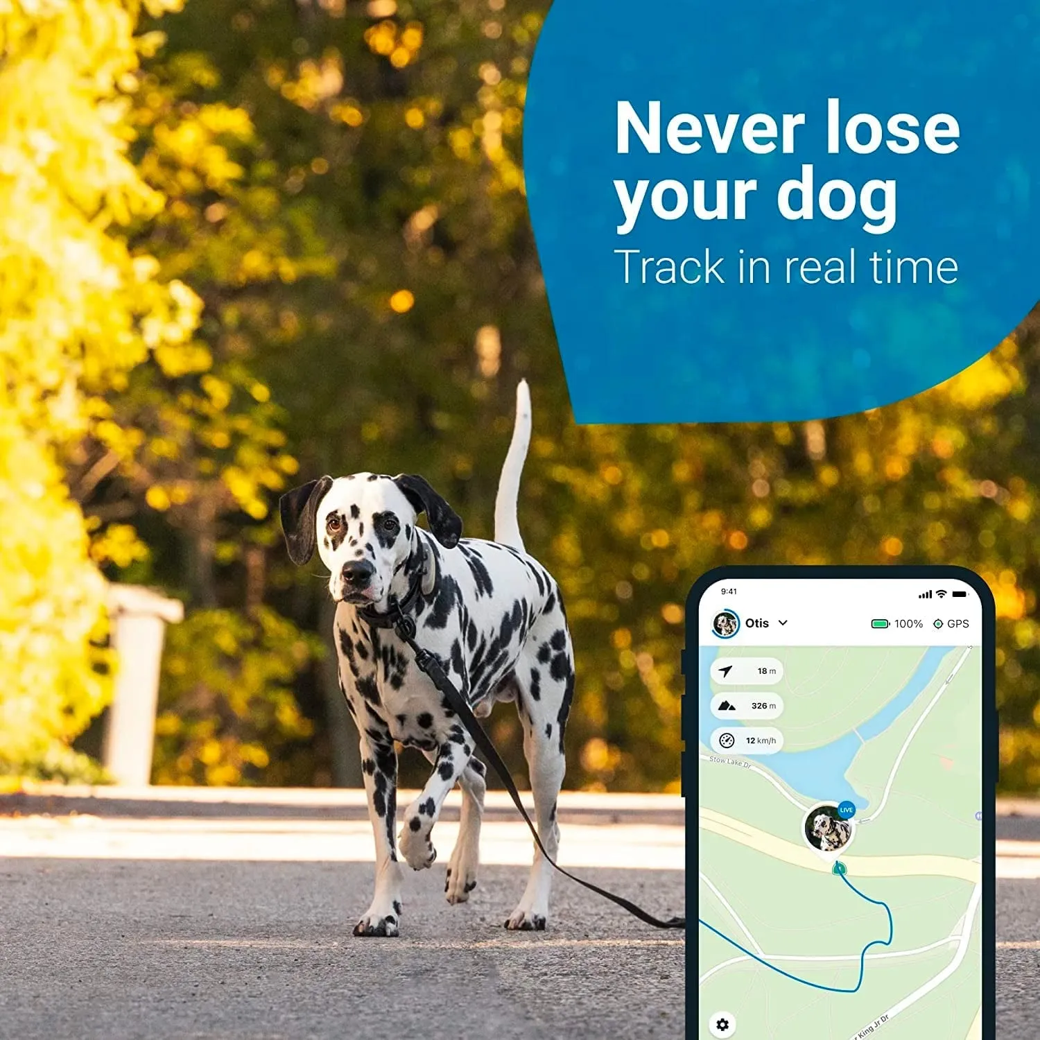 GPS Tracker & Health Monitoring for Dogs