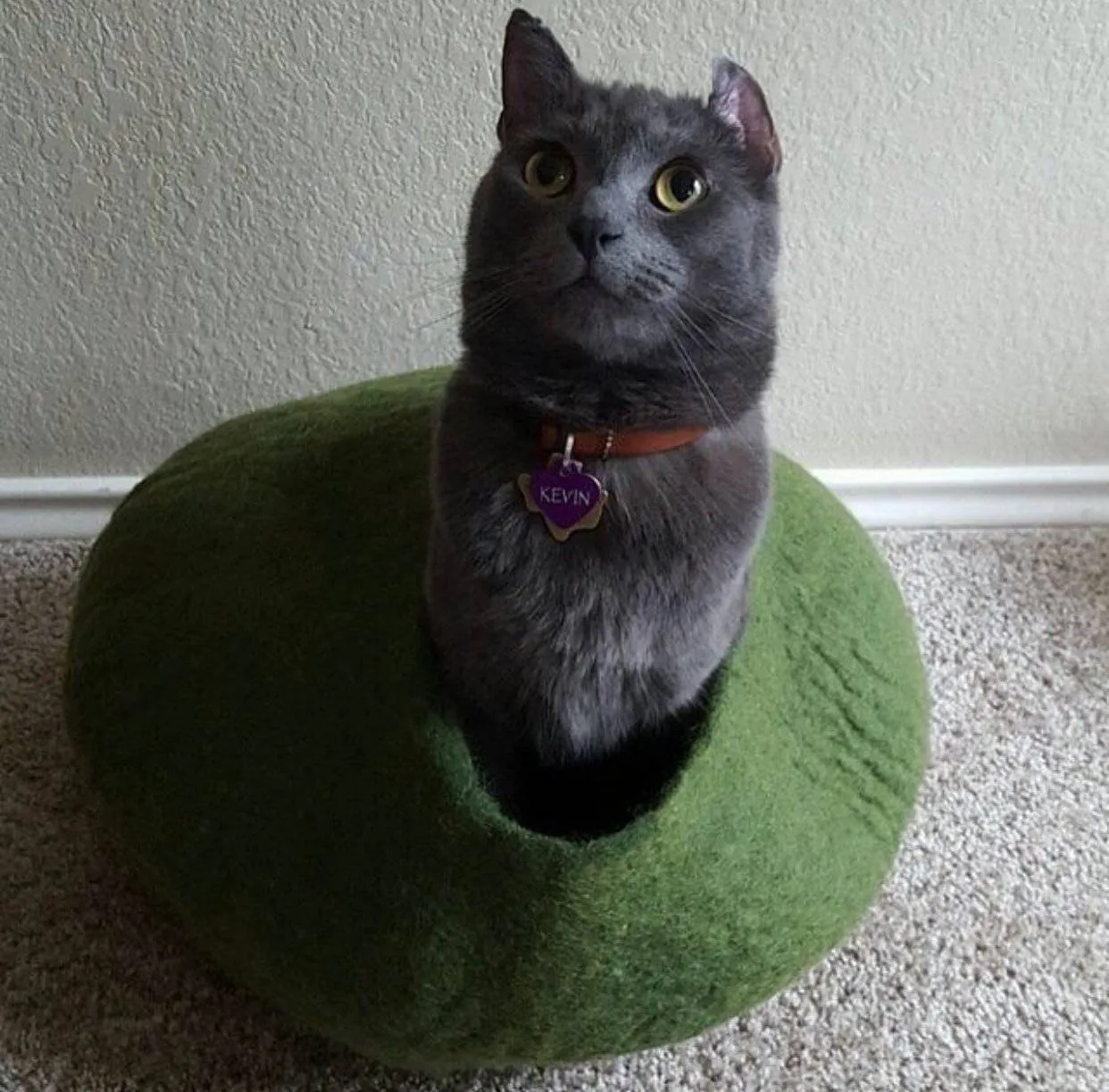 Green Cat Cave