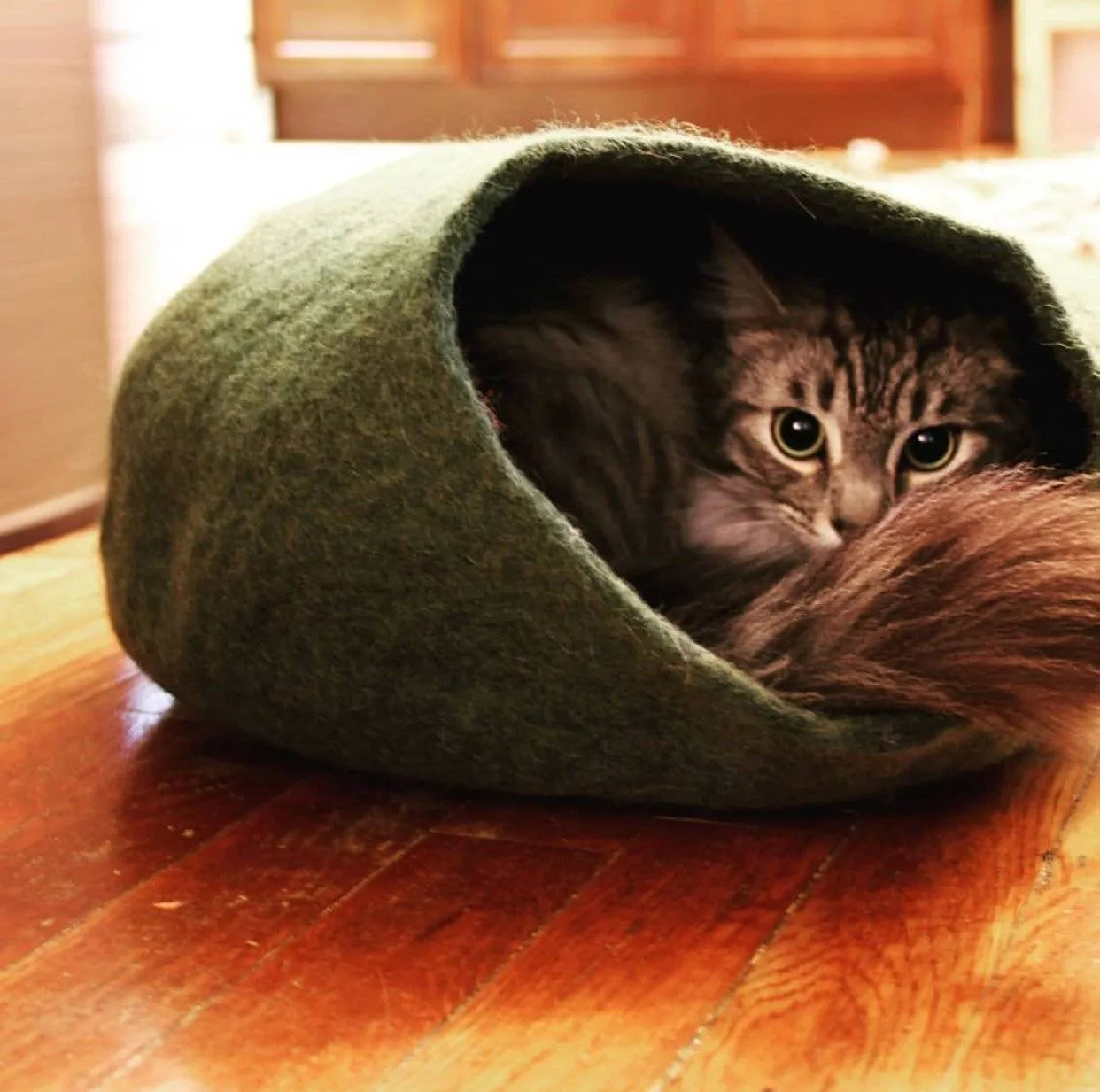 Green Cat Cave