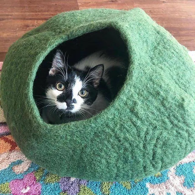 Green Cat Cave