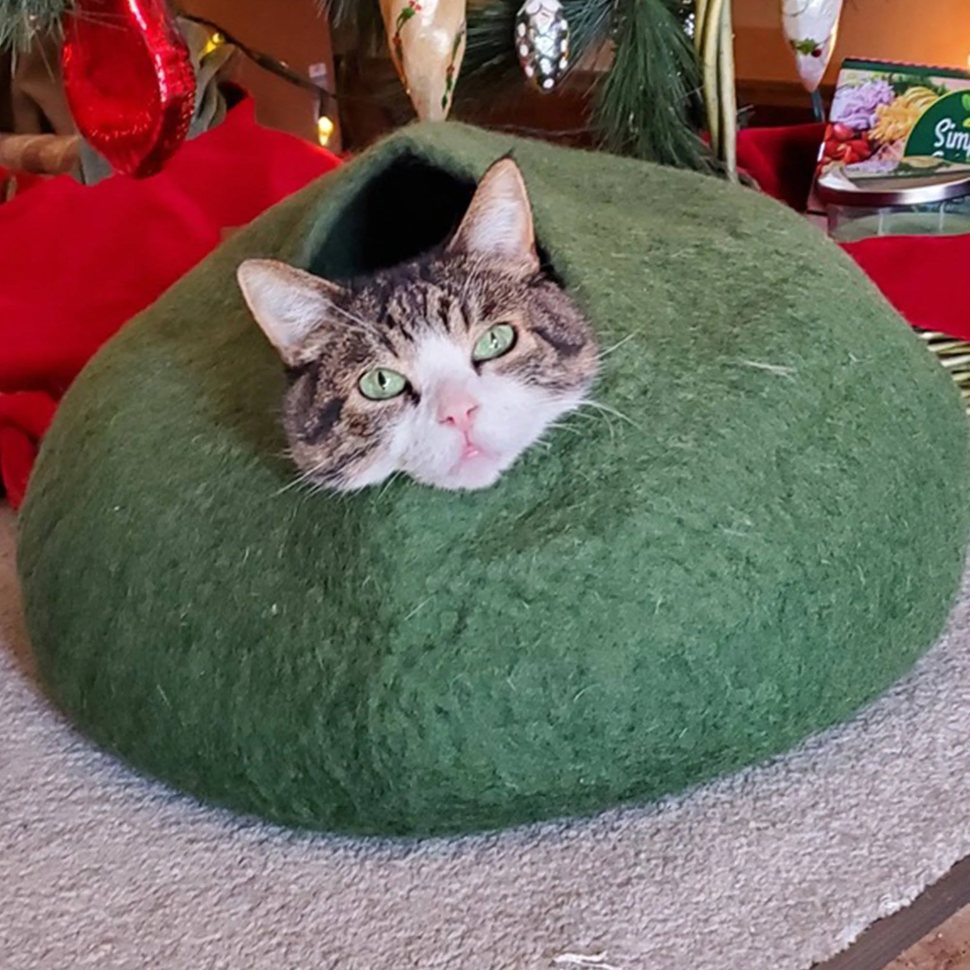 Green Cat Cave