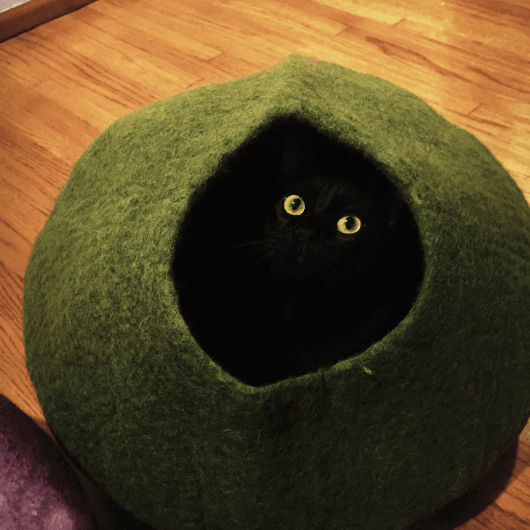 Green Cat Cave