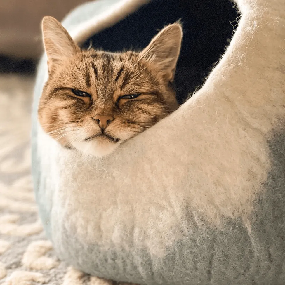 Grey & White Cat Cave