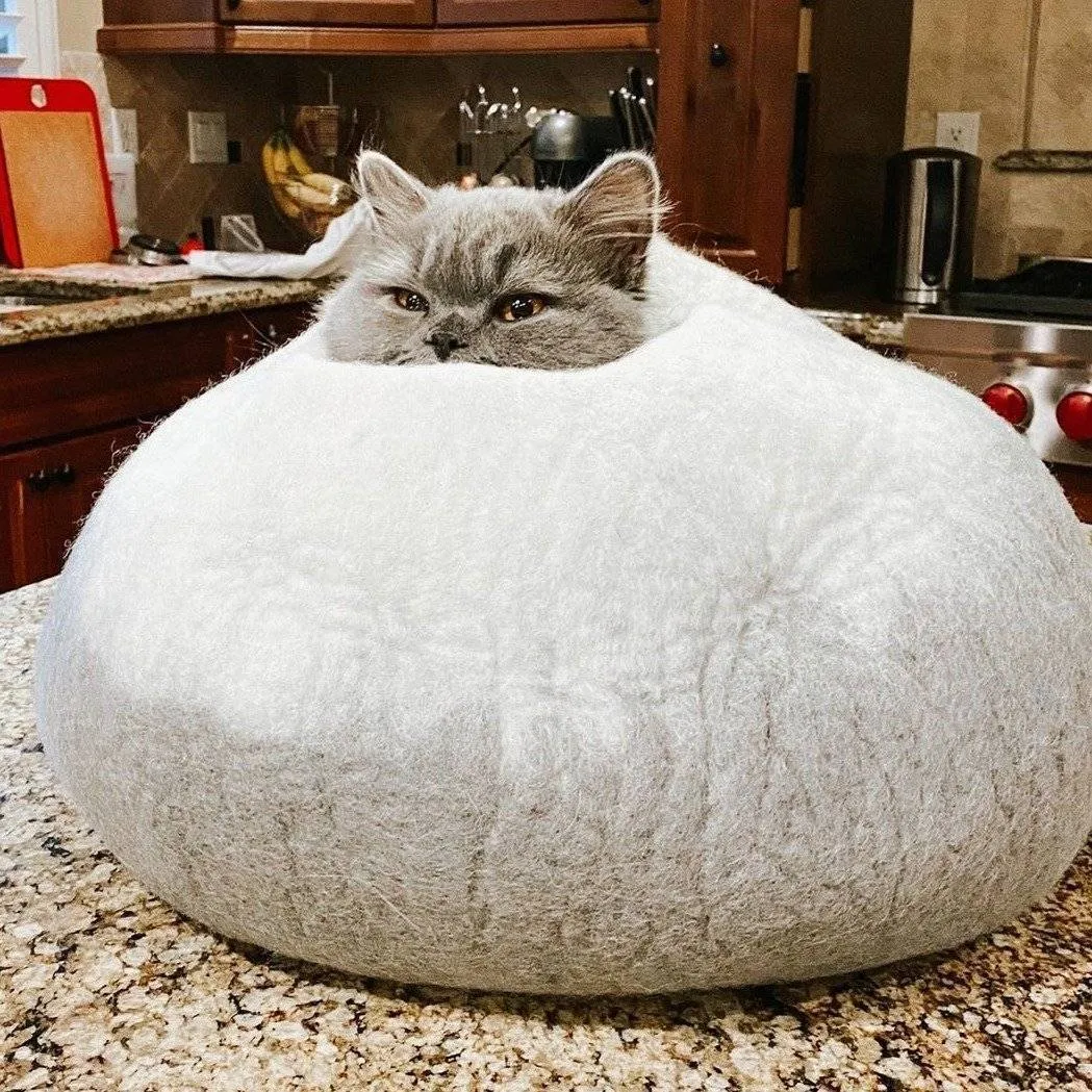Grey & White Cat Cave