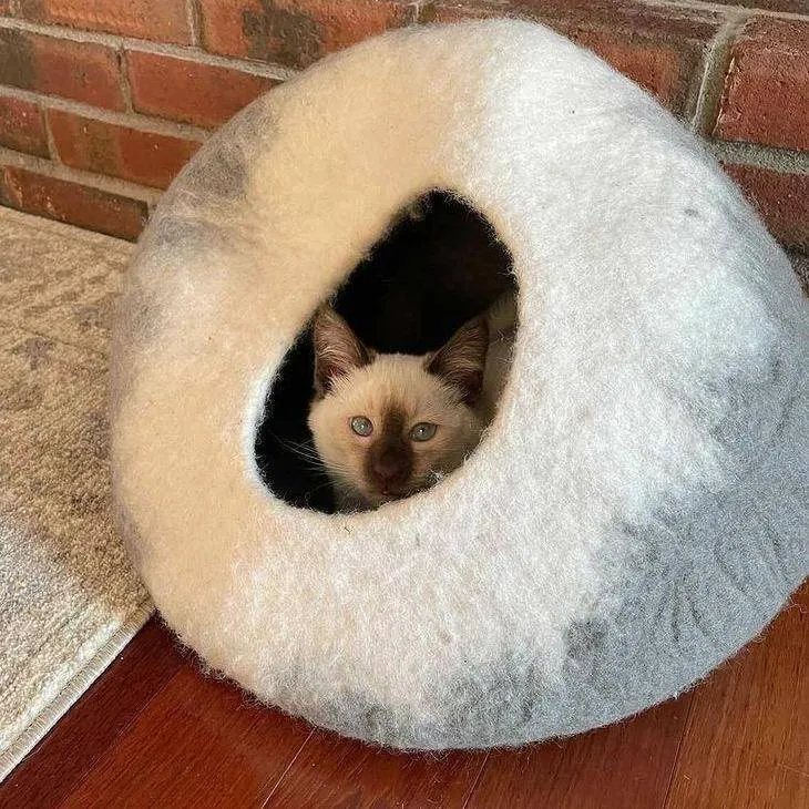 Grey & White Cat Cave