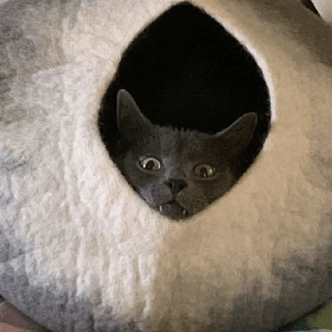 Grey & White Cat Cave