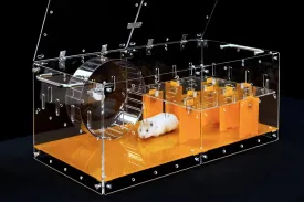 GuineaLoft Acrylic Cage (Model-P3) - Small 2x1 ft Enclosed Cage w/Lid & Bottom for Hamsters, Rats, Mice, Gerbils, Connectable, DIY Extendable - Visit The Guinea Loft Store to See It All