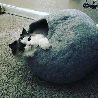 Heather Grey Cat Cave