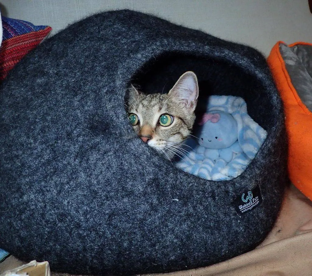 Heather Grey Cat Cave